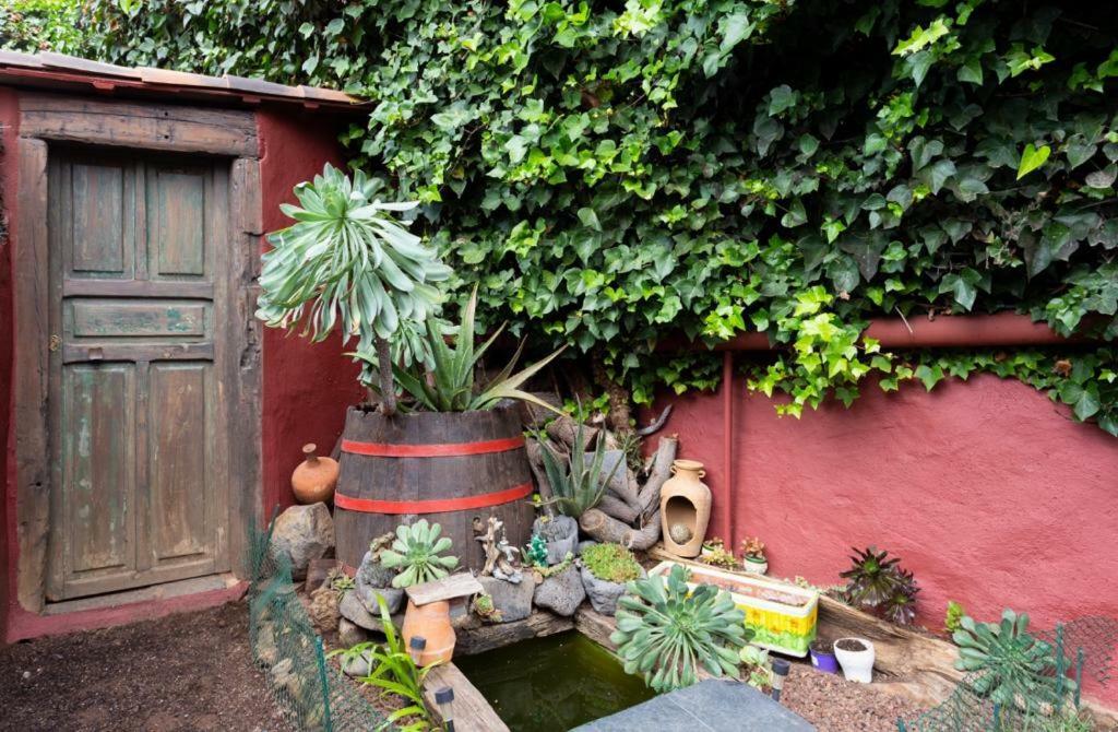 Apartament Casa Florida La Orotava Zewnętrze zdjęcie